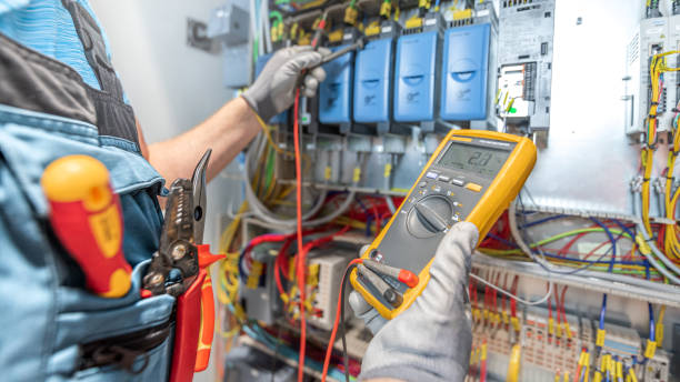 Best Electrical System Inspection  in Panaca, NV