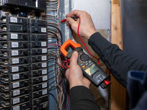 Best Electrical System Inspection  in Panaca, NV